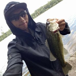 Meet your Posher, Kevin